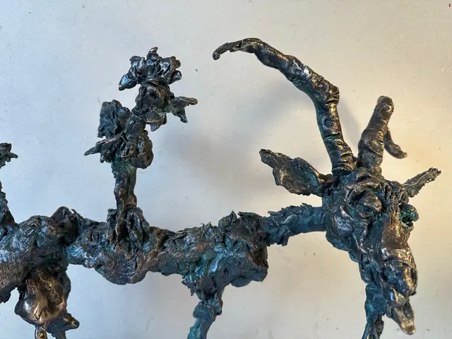Goat with Rider – 2