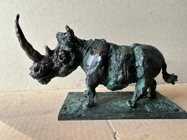 Rhinoceros